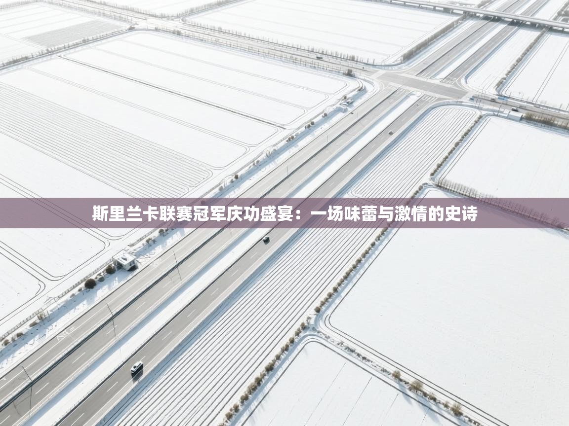 斯里兰卡联赛冠军庆功盛宴:一场味蕾与激情的史诗 第2张